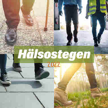 Hälsostegen 2022