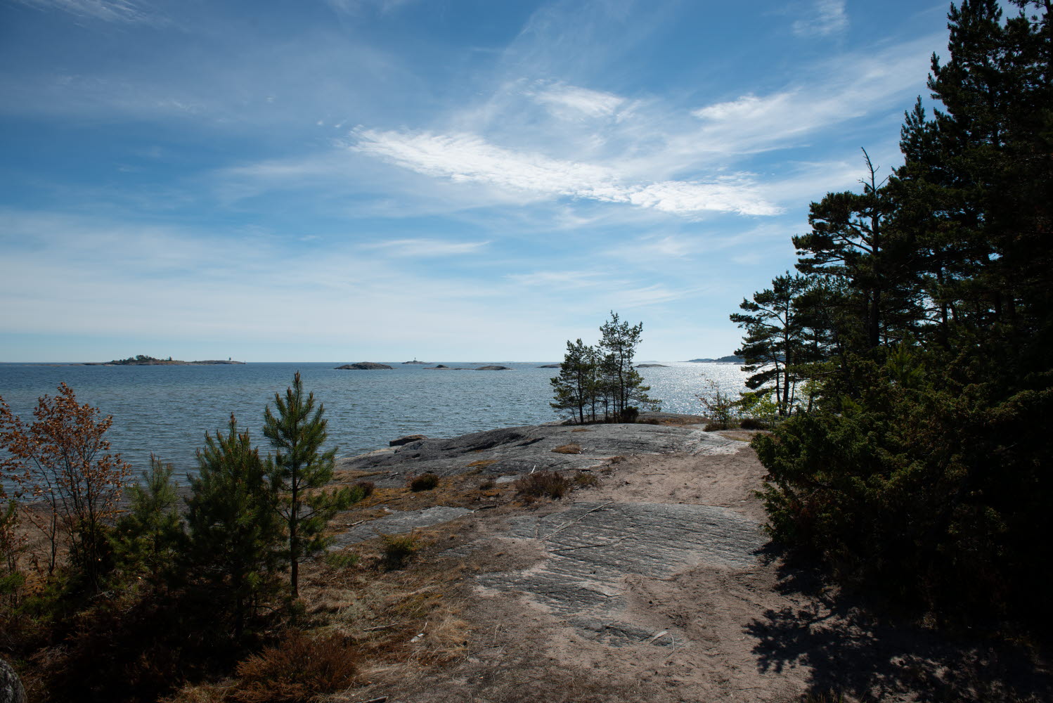 DSC_5659.jpg