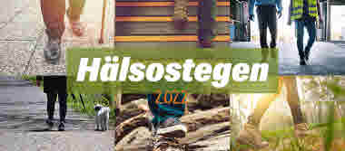 Hälsostegen 2022