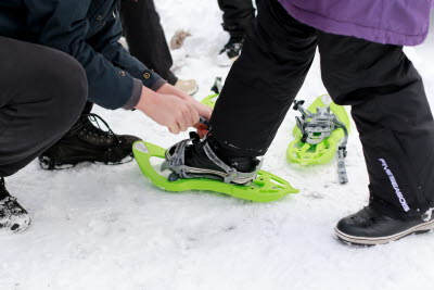 SolvallaFh UtbildningmotionIdrott