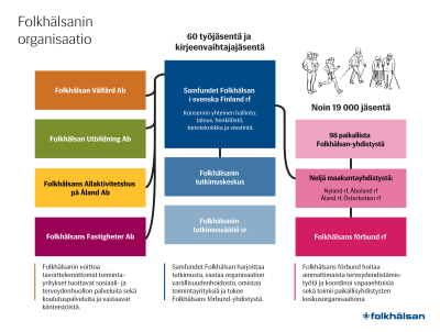 Folkhälsanin organisaatio3000px.png