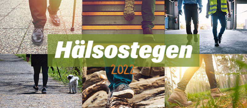 Hälsostegen 2022