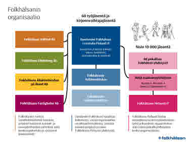 Folkhälsanin organisaatio3000px.png