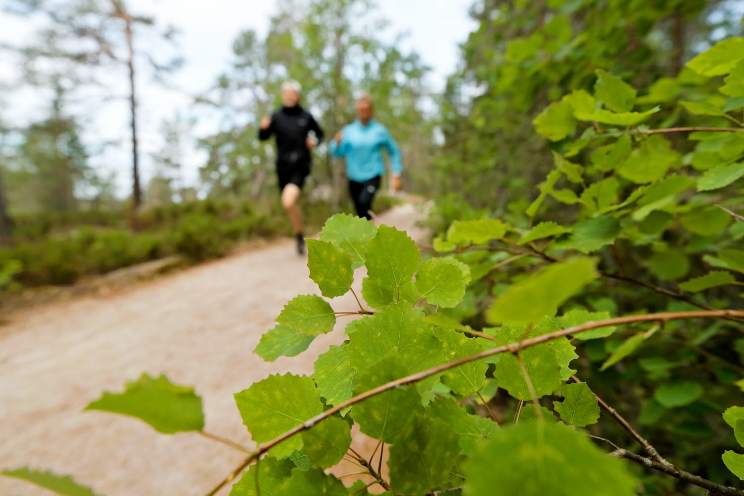 Solvalla_outdoor_camp_2019_33.JPG
